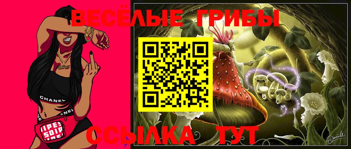 Холмск  Галлюциногенные грибы Magic Shrooms  Галлюциногенные грибы Psilocybe  Вход с VPN 