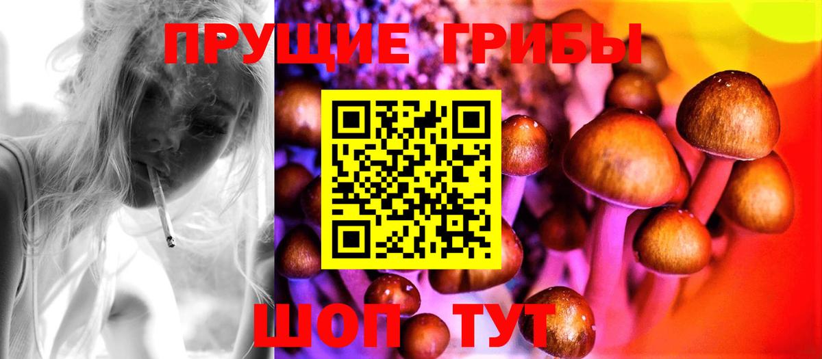 Псилоцибиновые грибы ЛСД Холмск
